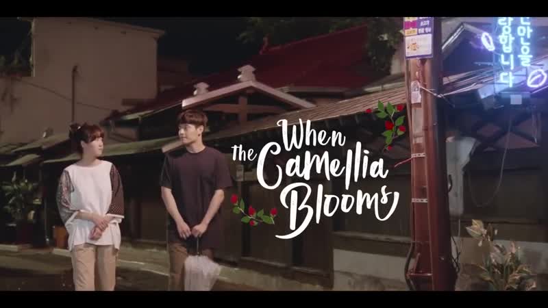 Download When the Camellia Blooms (2019) Complete 동백꽃 필 무렵 All Episodes 1-40 [With English Subtitles] [480p & 720p HD] Watch Online Free On PikaHD.com
